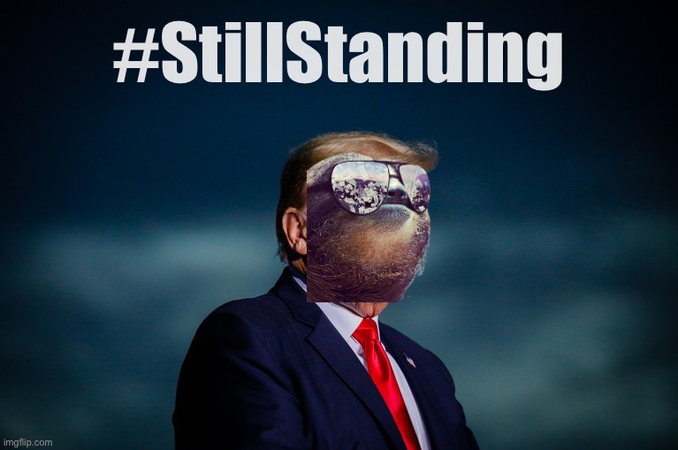 Too low-energy! Sad! | #StillStanding | image tagged in donald,sloth,is,still,standing,boi | made w/ Imgflip meme maker