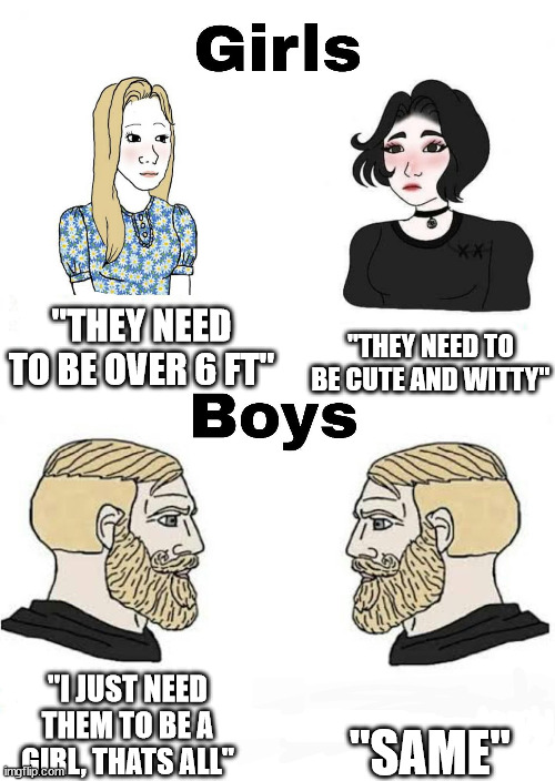 Relationship requirements be like | "THEY NEED TO BE OVER 6 FT"; "THEY NEED TO BE CUTE AND WITTY"; "SAME"; "I JUST NEED THEM TO BE A GIRL, THATS ALL" | image tagged in girls vs boys | made w/ Imgflip meme maker