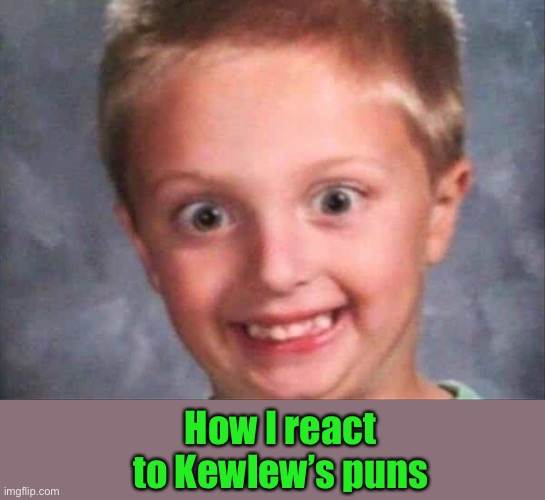 I like ‘em | How I react to Kewlew’s puns | image tagged in kewlew,puns,memes,funny | made w/ Imgflip meme maker
