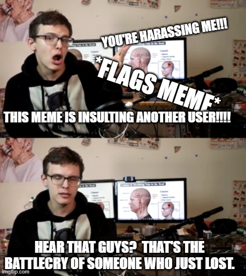 Battlecry of someone who just lost | YOU'RE HARASSING ME!!! *FLAGS MEME*; THIS MEME IS INSULTING ANOTHER USER!!!! HEAR THAT GUYS?  THAT'S THE BATTLECRY OF SOMEONE WHO JUST LOST. | image tagged in battlecry of someone who just lost | made w/ Imgflip meme maker