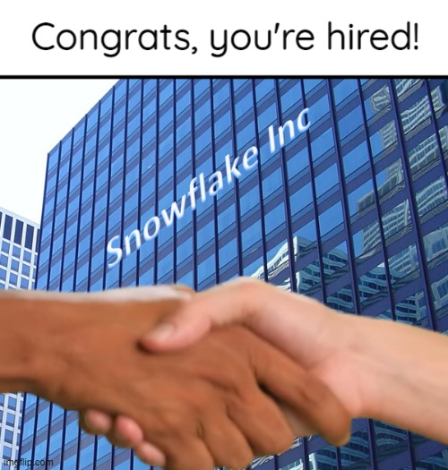 Snowflake Inc - Created by Capto. | image tagged in snowflake inc temp by ace | made w/ Imgflip meme maker