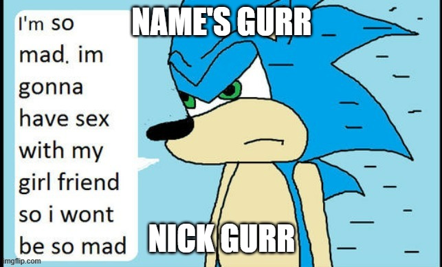 Sonic is so mad, I wonder what he'll do so he won't be so mad? | NAME'S GURR; NICK GURR | image tagged in sonic is so mad i wonder what he'll do so he won't be so mad | made w/ Imgflip meme maker