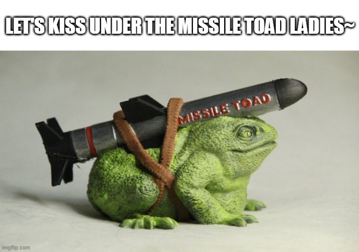 wet | LET'S KISS UNDER THE MISSILE TOAD LADIES~ | image tagged in missile toad | made w/ Imgflip meme maker