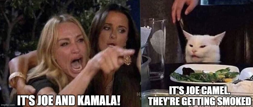 woman yelling at cat | IT'S JOE AND KAMALA! IT'S JOE CAMEL. THEY'RE GETTING SMOKED | image tagged in woman yelling at cat | made w/ Imgflip meme maker