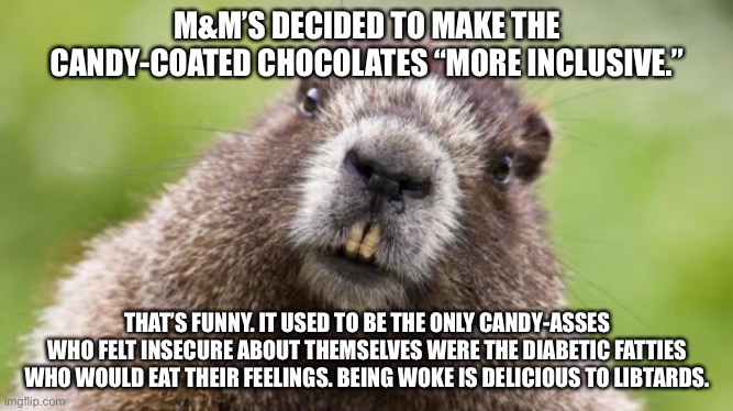 Candy-asses |  M&M’S DECIDED TO MAKE THE CANDY-COATED CHOCOLATES “MORE INCLUSIVE.”; THAT’S FUNNY. IT USED TO BE THE ONLY CANDY-ASSES
WHO FELT INSECURE ABOUT THEMSELVES WERE THE DIABETIC FATTIES WHO WOULD EAT THEIR FEELINGS. BEING WOKE IS DELICIOUS TO LIBTARDS. | image tagged in mr beaver,memes,candy,woke,diversity,fat | made w/ Imgflip meme maker