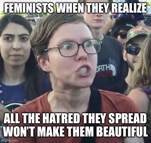 Triggered feminist | FEMINISTS WHEN THEY REALIZE; ALL THE HATRED THEY SPREAD WON’T MAKE THEM BEAUTIFUL | image tagged in triggered feminist | made w/ Imgflip meme maker