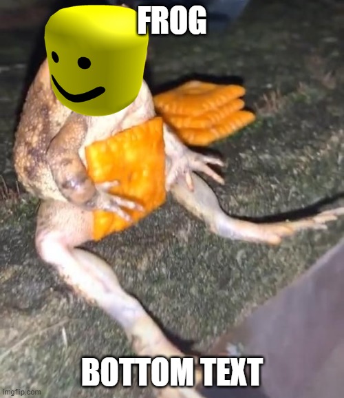 Cheez-It Frog | FROG; BOTTOM TEXT | image tagged in cheez-it frog | made w/ Imgflip meme maker