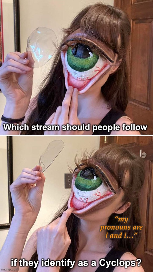 Eye Was Just Wondering… | Which stream should people follow; “my pronouns are i and i…”; if they identify as a Cyclops? | image tagged in funny memes,bad jokes,eyeroll | made w/ Imgflip meme maker