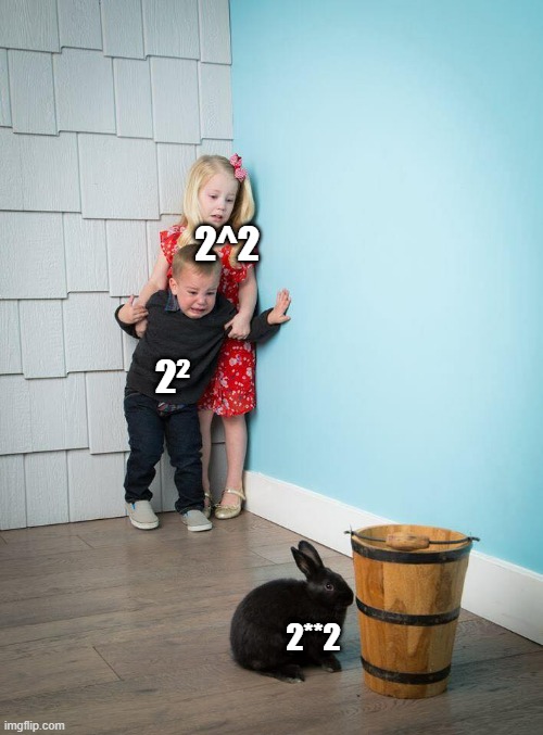 2**2 is just ... | 2^2; 2²; 2**2 | image tagged in kids afraid of rabbit,meme,memes | made w/ Imgflip meme maker