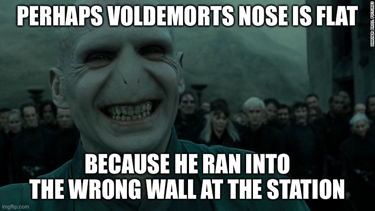 The wrong wall | PERHAPS VOLDEMORTS NOSE IS FLAT; BECAUSE HE RAN INTO THE WRONG WALL AT THE STATION | image tagged in harry potter,voldemort | made w/ Imgflip meme maker