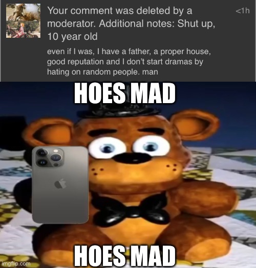 hoes mad | HOES MAD; HOES MAD | image tagged in hoes mad,feddy | made w/ Imgflip meme maker
