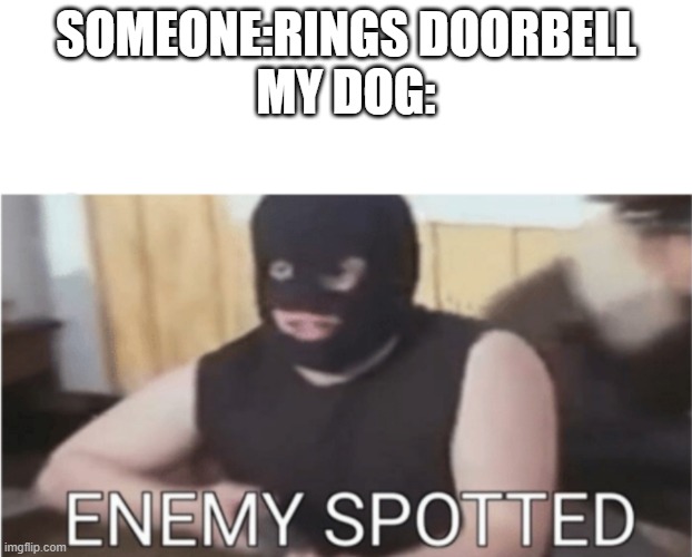 Dogs be like |  SOMEONE:RINGS DOORBELL
MY DOG: | image tagged in enemy spotted | made w/ Imgflip meme maker