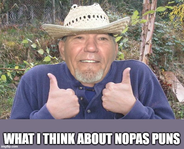 WHAT I THINK ABOUT NOPAS PUNS | image tagged in el-kewlew | made w/ Imgflip meme maker