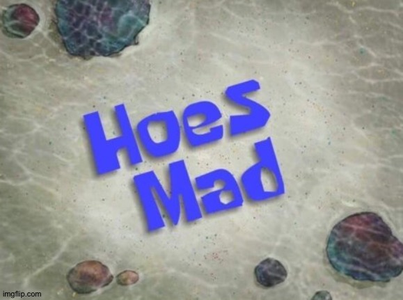 Hoes Mad | image tagged in hoes mad | made w/ Imgflip meme maker