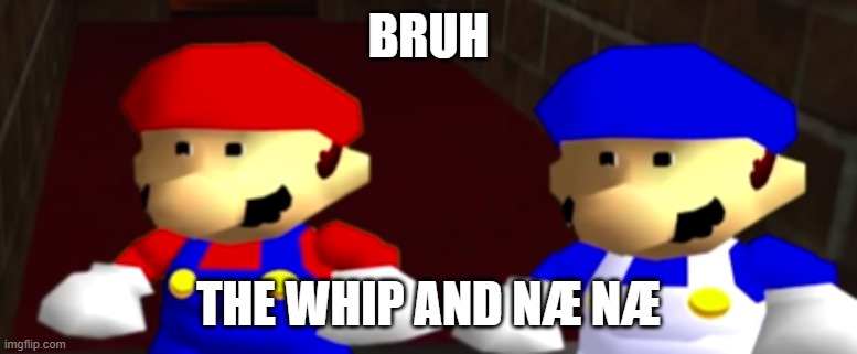 ayo thats kinda sus bro ngl | BRUH THE WHIP AND NÆ NÆ | image tagged in ayo thats kinda sus bro ngl | made w/ Imgflip meme maker