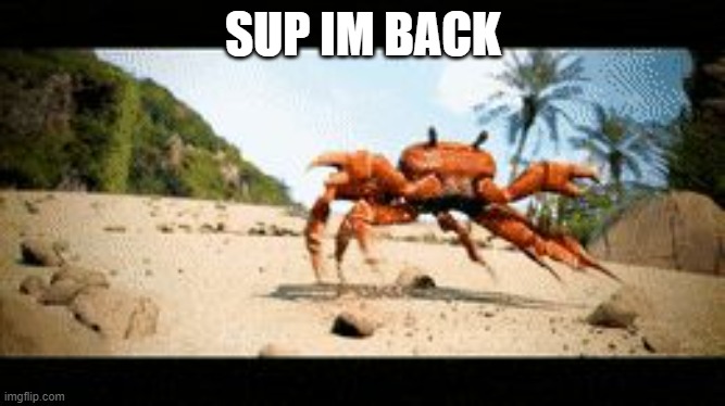 hi im back | SUP IM BACK | image tagged in crab rave,cool,hi,im back | made w/ Imgflip meme maker