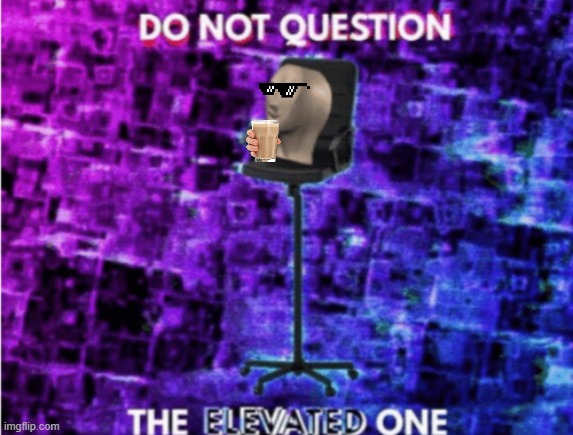 Do not question the elevated one | image tagged in do not question the elevated one | made w/ Imgflip meme maker