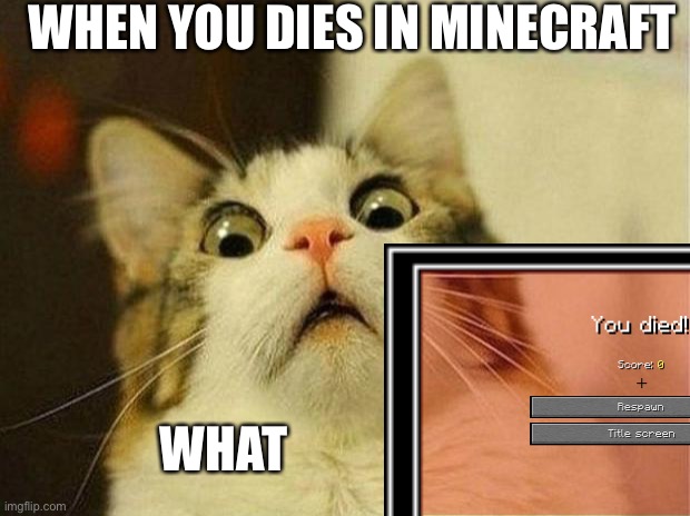 Noooooo | WHEN YOU DIES IN MINECRAFT; WHAT | image tagged in memes | made w/ Imgflip meme maker