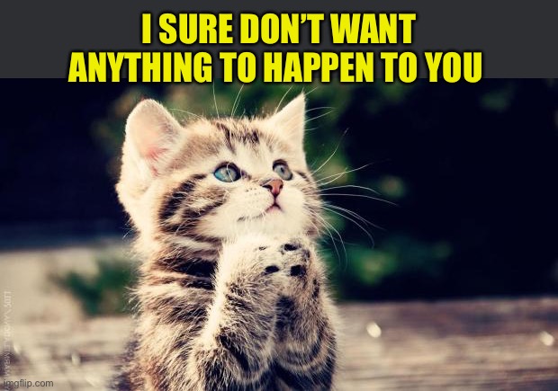 Praying cat | I SURE DON’T WANT ANYTHING TO HAPPEN TO YOU | image tagged in praying cat | made w/ Imgflip meme maker