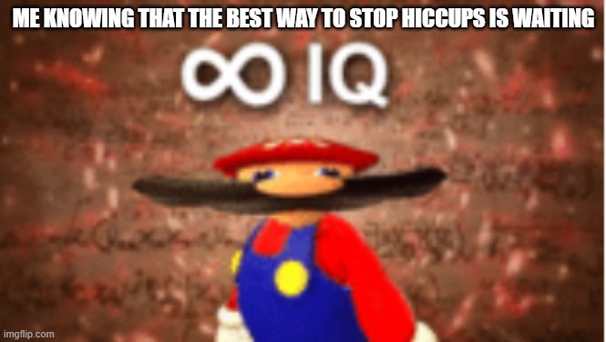 Infinite IQ |  ME KNOWING THAT THE BEST WAY TO STOP HICCUPS IS WAITING | image tagged in infinite iq,memes,meme,mems,mmeemmee,ok fine ill stop | made w/ Imgflip meme maker