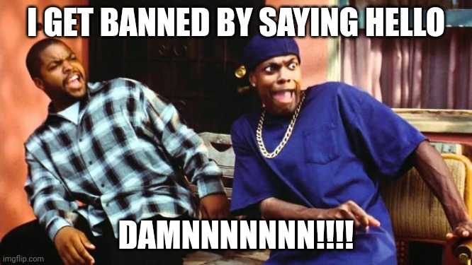 Ice Cube Damn | I GET BANNED BY SAYING HELLO; DAMNNNNNNN!!!! | image tagged in ice cube damn | made w/ Imgflip meme maker