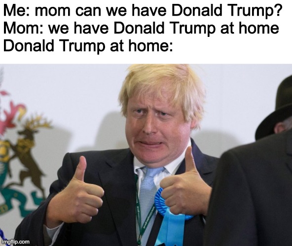 boris johnson | Me: mom can we have Donald Trump?

Mom: we have Donald Trump at home

Donald Trump at home: | image tagged in boris johnson | made w/ Imgflip meme maker