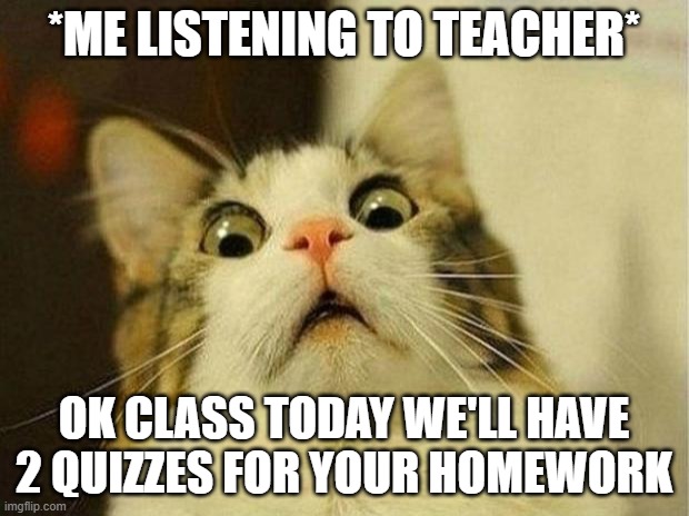 Scared Cat |  *ME LISTENING TO TEACHER*; OK CLASS TODAY WE'LL HAVE 2 QUIZZES FOR YOUR HOMEWORK | image tagged in memes,scared cat | made w/ Imgflip meme maker