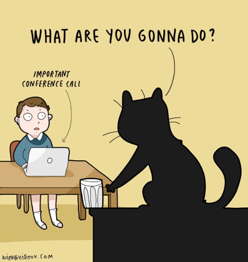 A Cat's Way Of Thinking | image tagged in memes,comics,cats,push,glass,c'mon do something | made w/ Imgflip meme maker