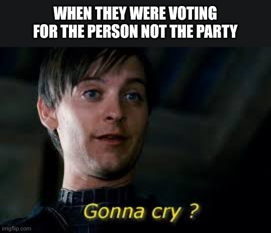 Gonna cry peter parker | WHEN THEY WERE VOTING FOR THE PERSON NOT THE PARTY | image tagged in gonna cry peter parker | made w/ Imgflip meme maker