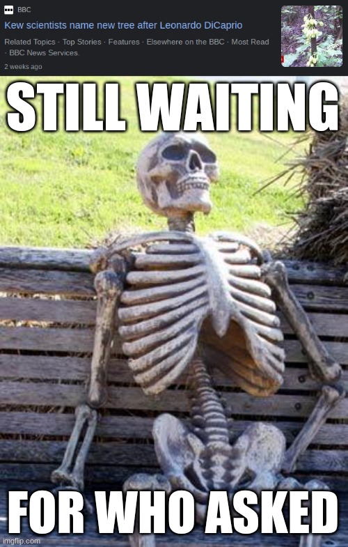 STILL WAITING; FOR WHO ASKED | image tagged in memes,waiting skeleton | made w/ Imgflip meme maker