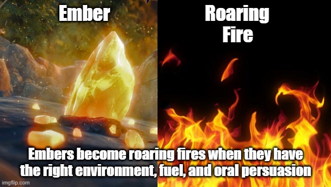 Embers become roaring fires | Ember                           Roaring 
                                         Fire; Embers become roaring fires when they have the right environment, fuel, and oral persuasion | image tagged in fire | made w/ Imgflip meme maker