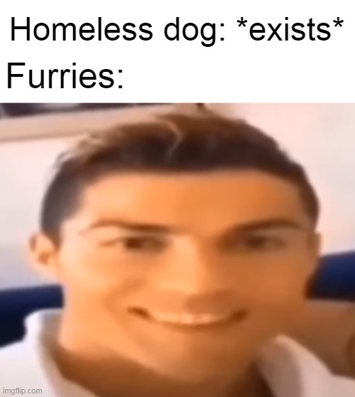 Homeless dog: *exists*; Furries: | made w/ Imgflip meme maker