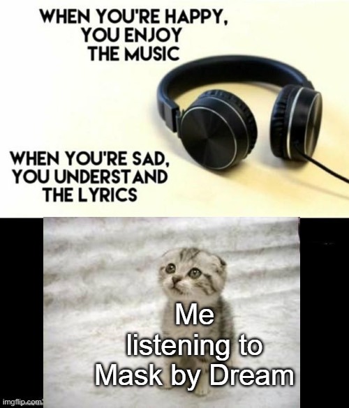 Me listening to Mask | Me listening to Mask by Dream | image tagged in when your sad you understand the lyrics,cats,dream,mask | made w/ Imgflip meme maker