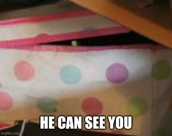 HE CAN SEE YOU | made w/ Imgflip meme maker