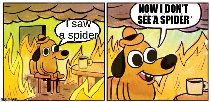 fire if fine | now i don't see a spider; NOW I DON'T SEE A SPIDER; I saw a spider | image tagged in memes,this is fine | made w/ Imgflip meme maker