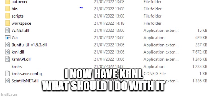 kernel | I NOW HAVE KRNL
WHAT SHOULD I DO WITH IT | image tagged in kernel | made w/ Imgflip meme maker
