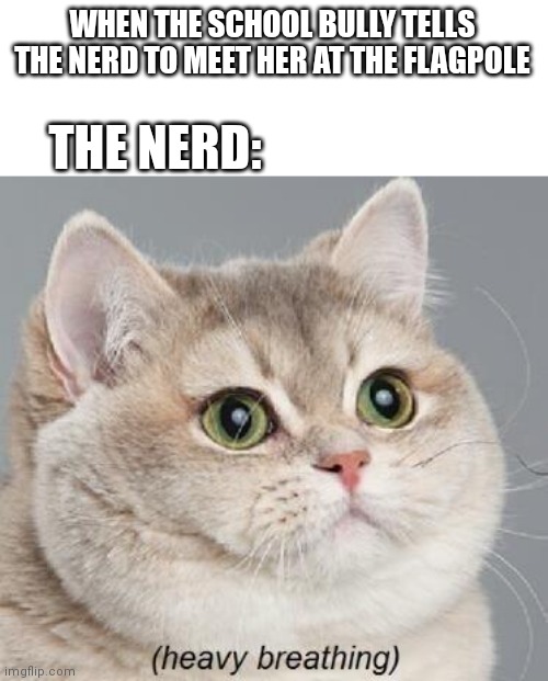 Heavy Breathing Cat | THE NERD:; WHEN THE SCHOOL BULLY TELLS THE NERD TO MEET HER AT THE FLAGPOLE | image tagged in memes,heavy breathing cat,bully,nerd | made w/ Imgflip meme maker