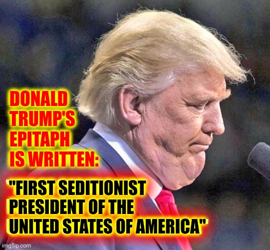 The Truth | DONALD TRUMP'S EPITAPH IS WRITTEN:; "FIRST SEDITIONIST PRESIDENT OF THE UNITED STATES OF AMERICA"; "FIRST SEDITIONIST PRESIDENT OF THE UNITED STATES OF AMERICA" | image tagged in memes,trumpublican terrorists,lock him up,trump for prison 2022,scumbag republicans,traitor | made w/ Imgflip meme maker