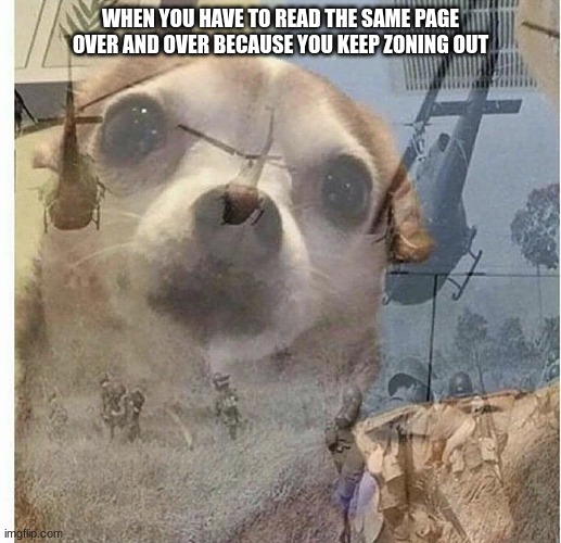 PTSD Chihuahua | WHEN YOU HAVE TO READ THE SAME PAGE OVER AND OVER BECAUSE YOU KEEP ZONING OUT | image tagged in ptsd chihuahua | made w/ Imgflip meme maker