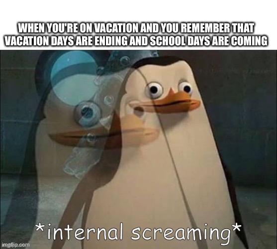 Private Internal Screaming | WHEN YOU'RE ON VACATION AND YOU REMEMBER THAT VACATION DAYS ARE ENDING AND SCHOOL DAYS ARE COMING | image tagged in private internal screaming | made w/ Imgflip meme maker