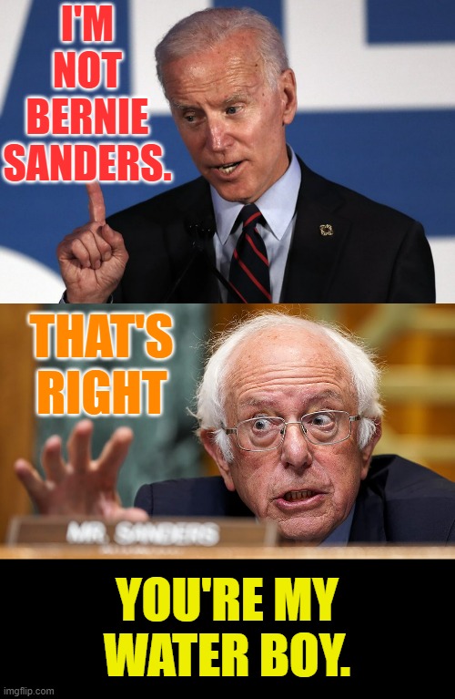 You Don't Say |  I'M NOT BERNIE SANDERS. THAT'S RIGHT; YOU'RE MY WATER BOY. | image tagged in memes,politics,joe biden,not,bernie sanders,that is the question | made w/ Imgflip meme maker