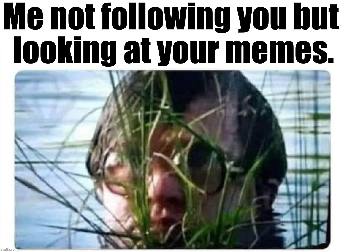 Still looking at memes | Me not following you but 
looking at your memes. | image tagged in memes,follow | made w/ Imgflip meme maker