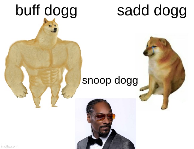 the three doggiters | buff dogg; sadd dogg; snoop dogg | image tagged in memes,buff doge vs cheems | made w/ Imgflip meme maker