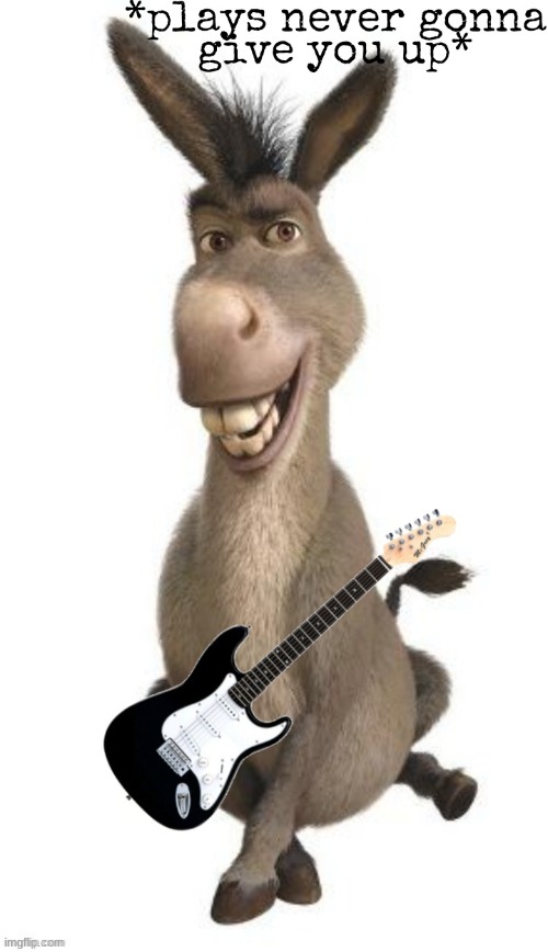 image tagged in donkey plays bass | made w/ Imgflip meme maker