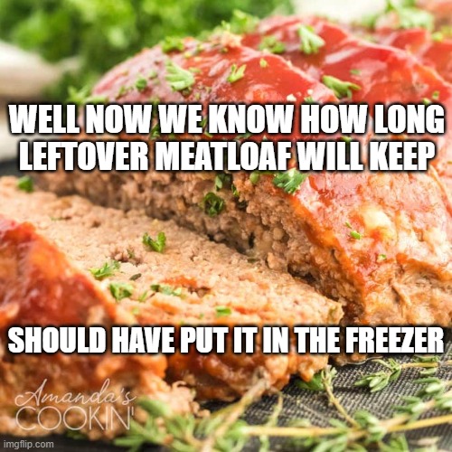 Meatloaf Dead at 74 | WELL NOW WE KNOW HOW LONG LEFTOVER MEATLOAF WILL KEEP; SHOULD HAVE PUT IT IN THE FREEZER | image tagged in meatloaf,death | made w/ Imgflip meme maker