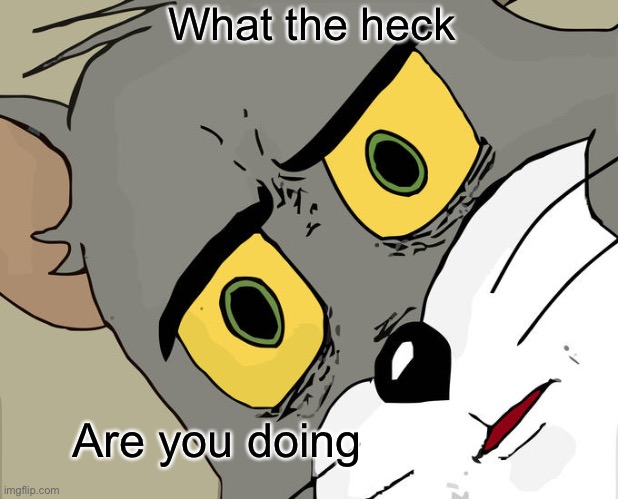 What the heck | What the heck; Are you doing | image tagged in memes,unsettled tom | made w/ Imgflip meme maker