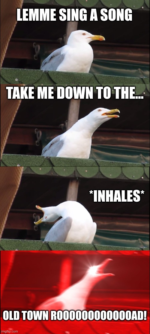 old town road singing seagull | LEMME SING A SONG; TAKE ME DOWN TO THE... *INHALES*; OLD TOWN ROOOOOOOOOOOOAD! | image tagged in memes,inhaling seagull | made w/ Imgflip meme maker