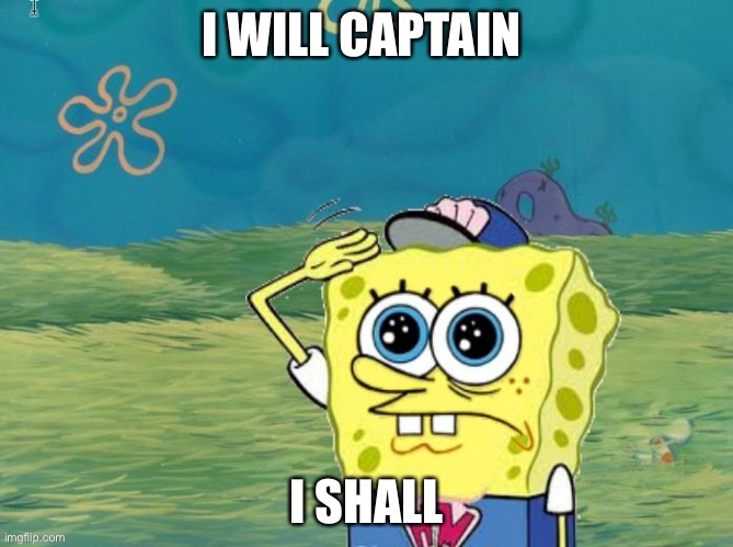 I will captain | I WILL CAPTAIN; I SHALL | image tagged in i will captain | made w/ Imgflip meme maker