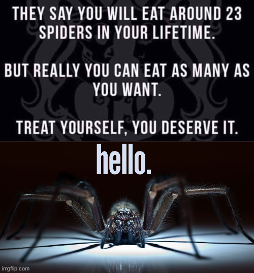 image tagged in spiders | made w/ Imgflip meme maker