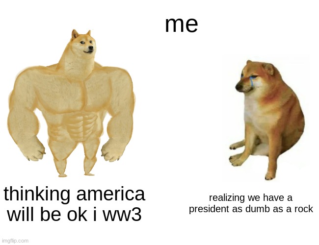 Buff Doge vs. Cheems Meme | me; thinking america will be ok i ww3; realizing we have a president as dumb as a rock | image tagged in memes,buff doge vs cheems | made w/ Imgflip meme maker